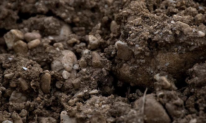 vigna-terreno2