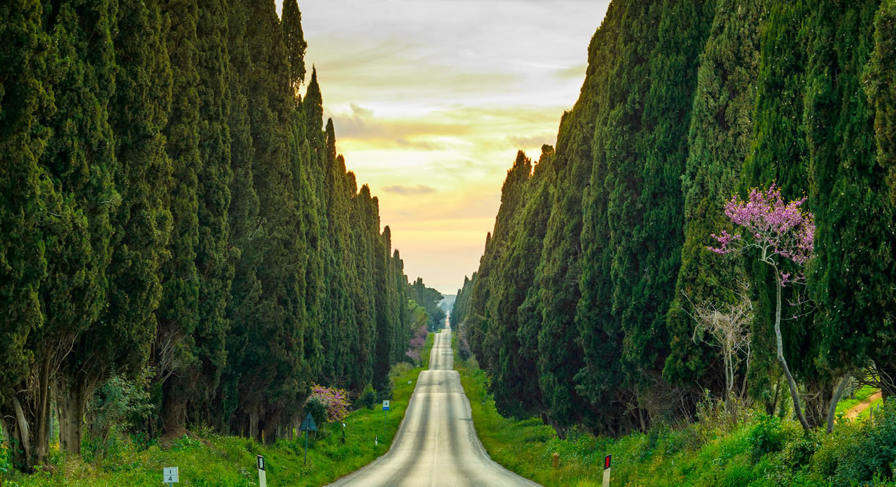 d-viale-dei-cipressi