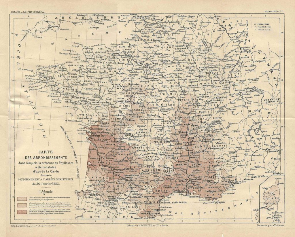 Carte_du_Phylloxéra_en_1882