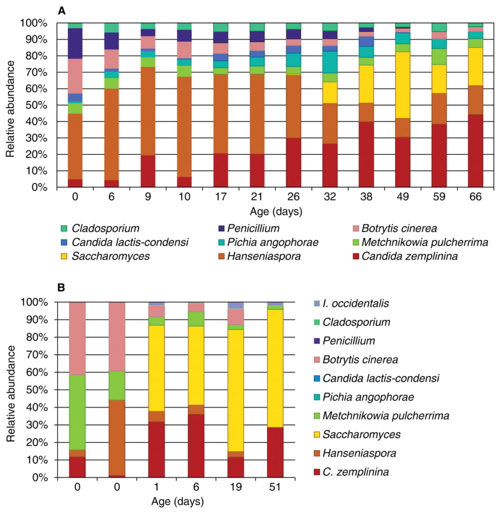 da Bokulich et al., Am J Enol Vitic. June 2012 63: 185-194 Ecco un esempio visivo di come cambiano le popolazioni di lieviti in una vasca nel tempo. è anche evidente la diversa fra annate, l'una rappresentata dalla parte alta (A) e l'altra sotto (B).