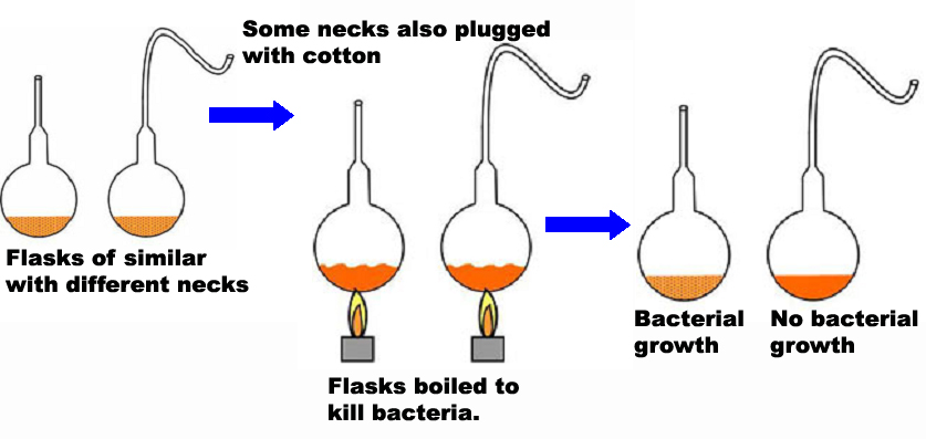 Pasteur