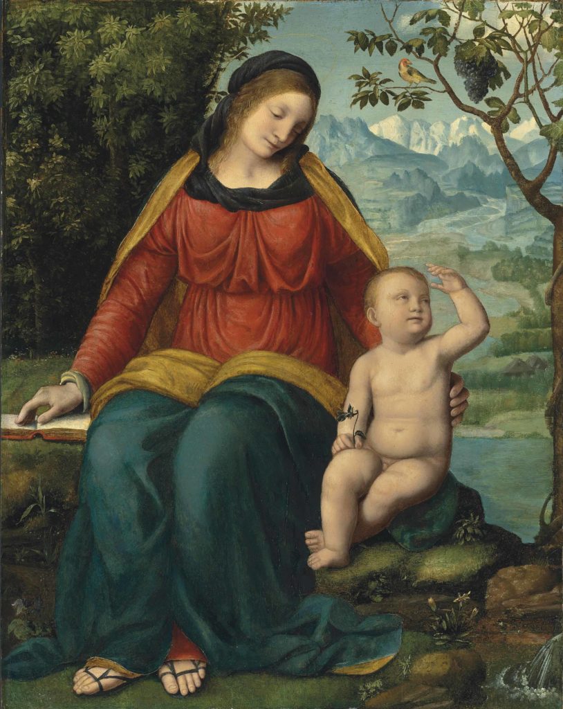 2016_CKS_11973_0033_000(bernardino_luini_madonna_of_the_grapevine)