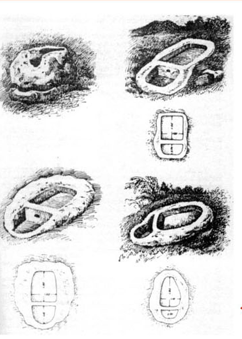 palmenti disegno