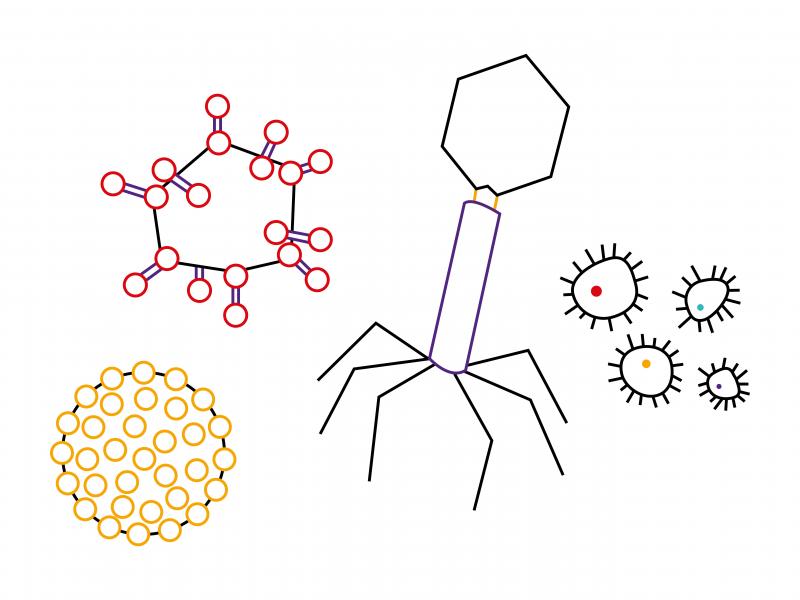 virus_cookery_illustration