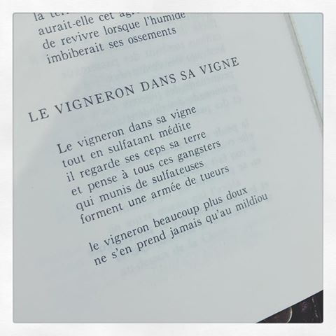 Raymond Queneau, 1968