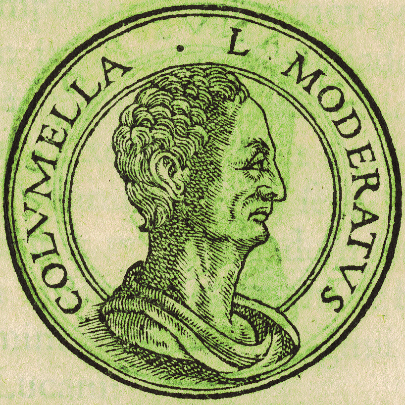 Lucius_Junius_Moderatus_Columella