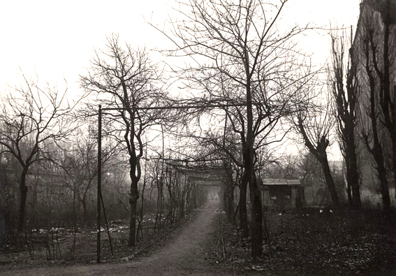 vigna_Leonardo_nel_1920_fotografie_di_Antonio_Paoletti