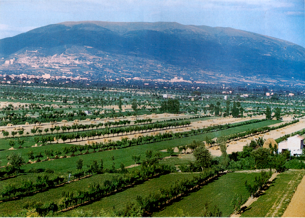 campagna umbra 1958