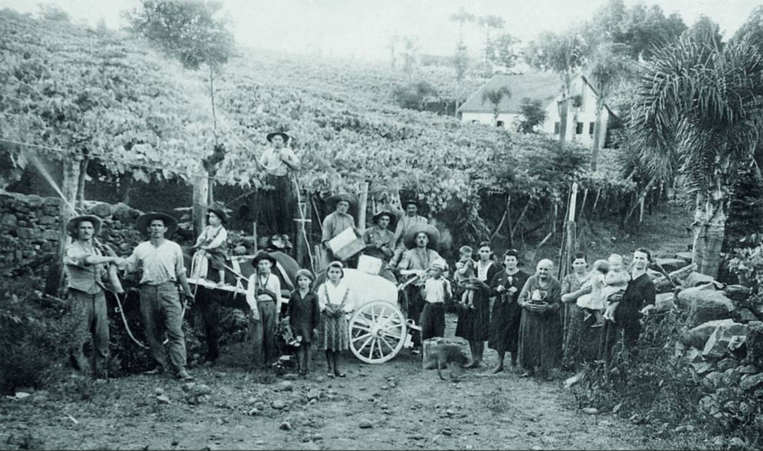 igneti realizzati da immigati italiani sulla Linha Leopoldina, Vale dos Vinhedos, Bento Gonçalves, Brasile, 1941 (Archivio di Pedro Carraro)