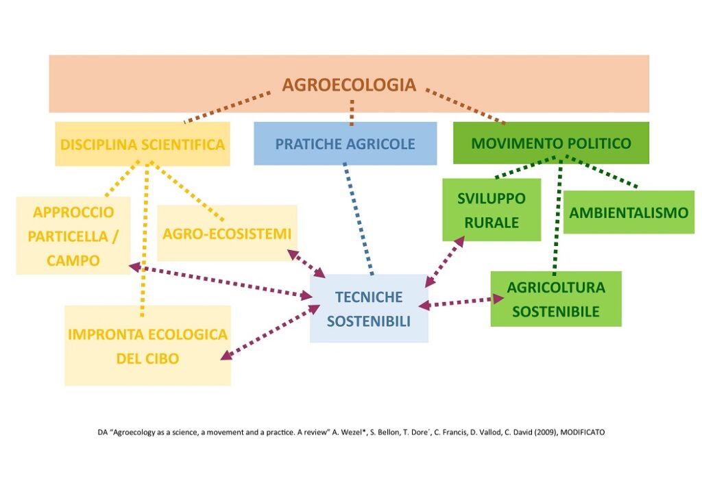 AGROECOLOGIA INTERD