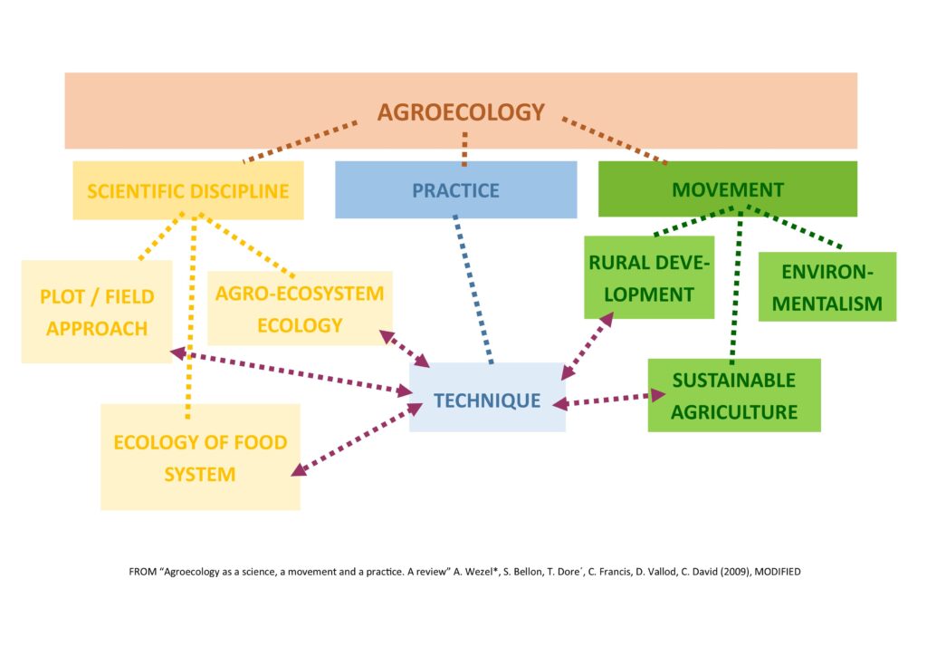 agroecologiaEN